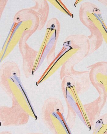 lona canvas pelicanos